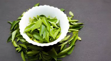 garnishing-instructions-image